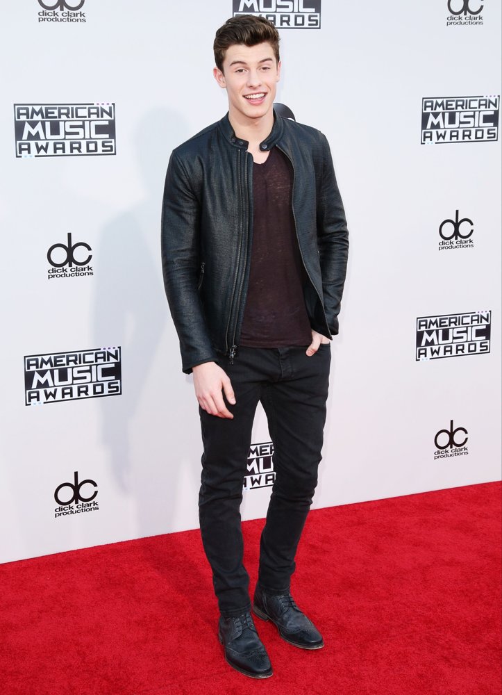 shawn-mendes-american-music-awards-2015-02